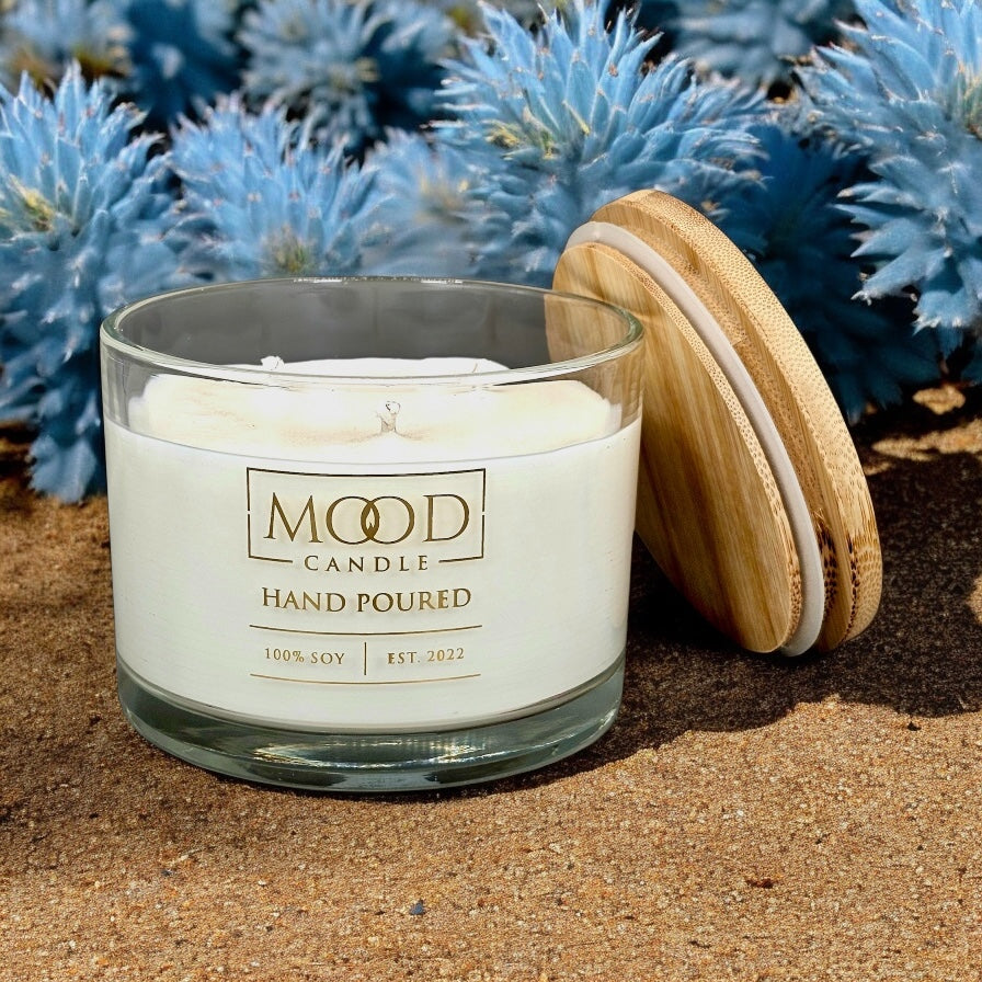 Baja Cactus Blossom